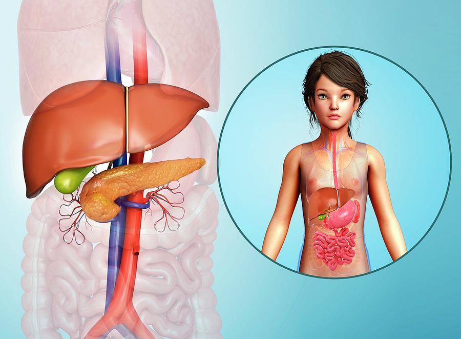 Liver Biopsy Treatment